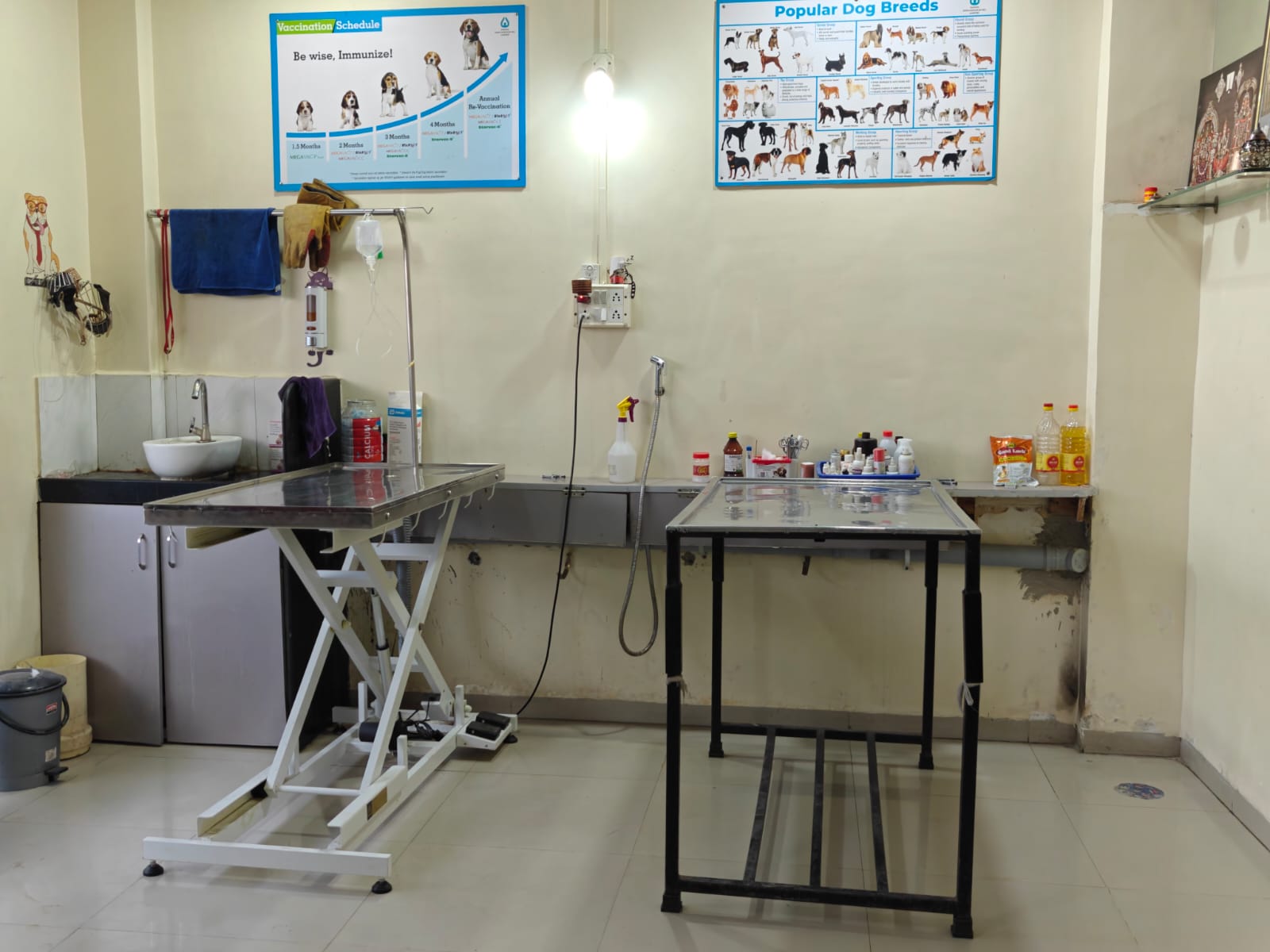 Sarvadnya Pet Care Unit veterinary clinic, Pune